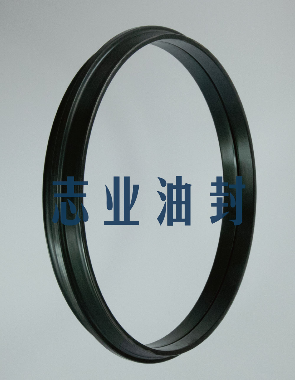 DO型浮動(dòng)油封