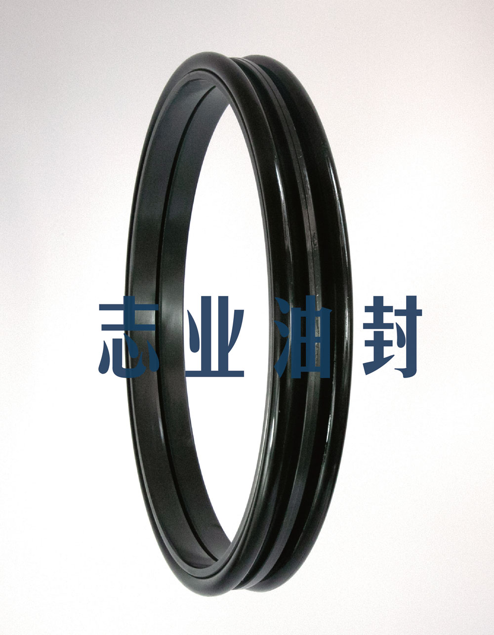 DO型浮動(dòng)油封